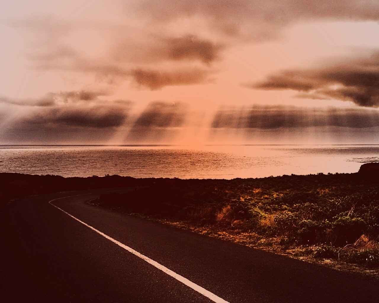 Дорога обои