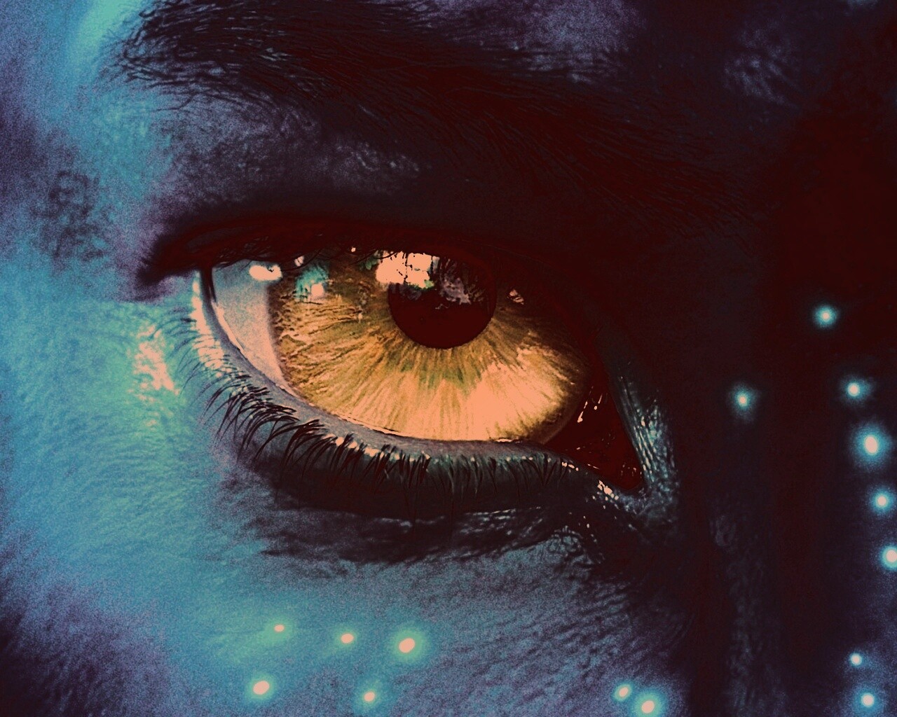 Смотрит прямо в душу обои