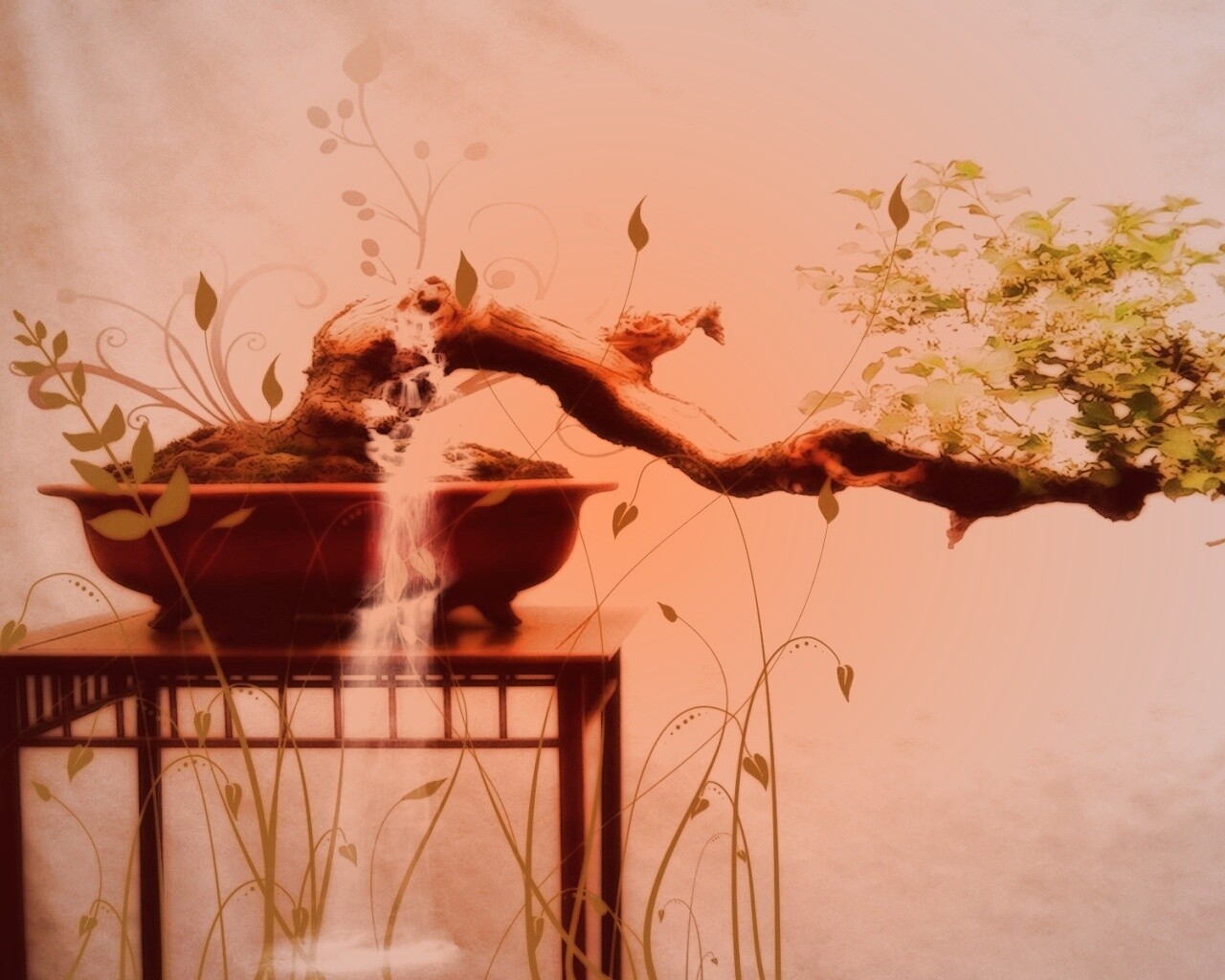 Карликовое дерево обои