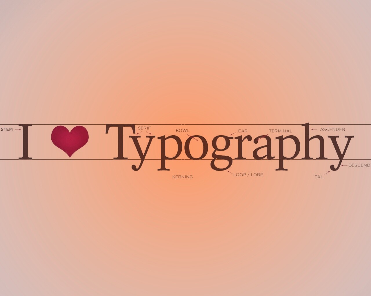 I love typography обои
