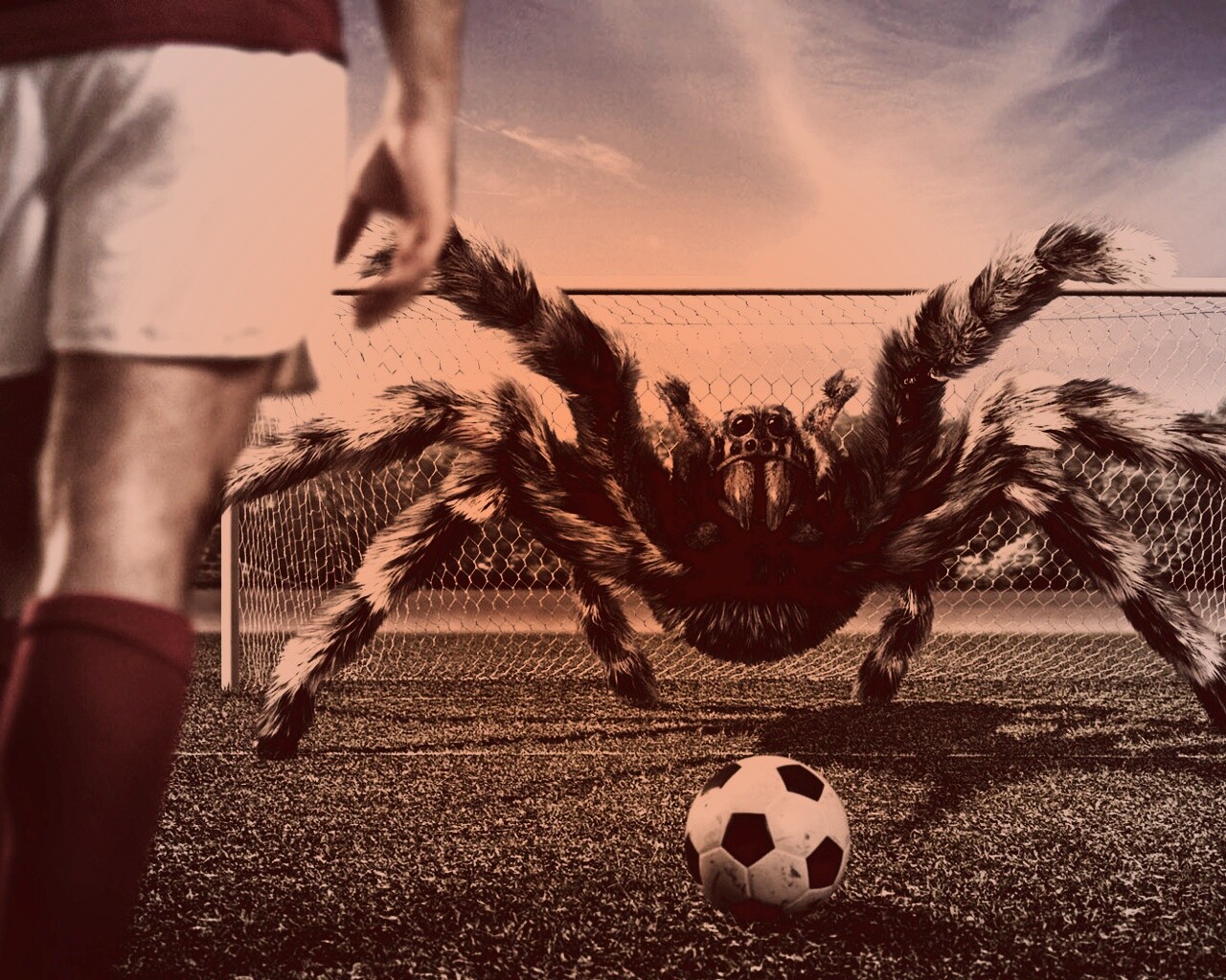 Вратарь обои