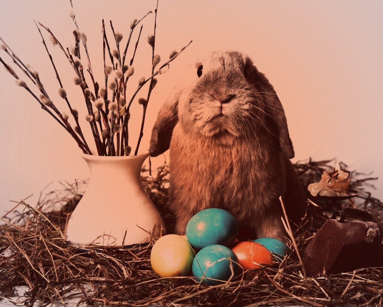 Пасхальный кролик обои