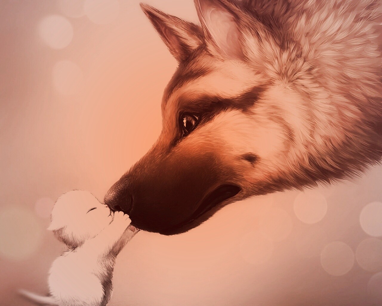 Овчарка и котенок обои