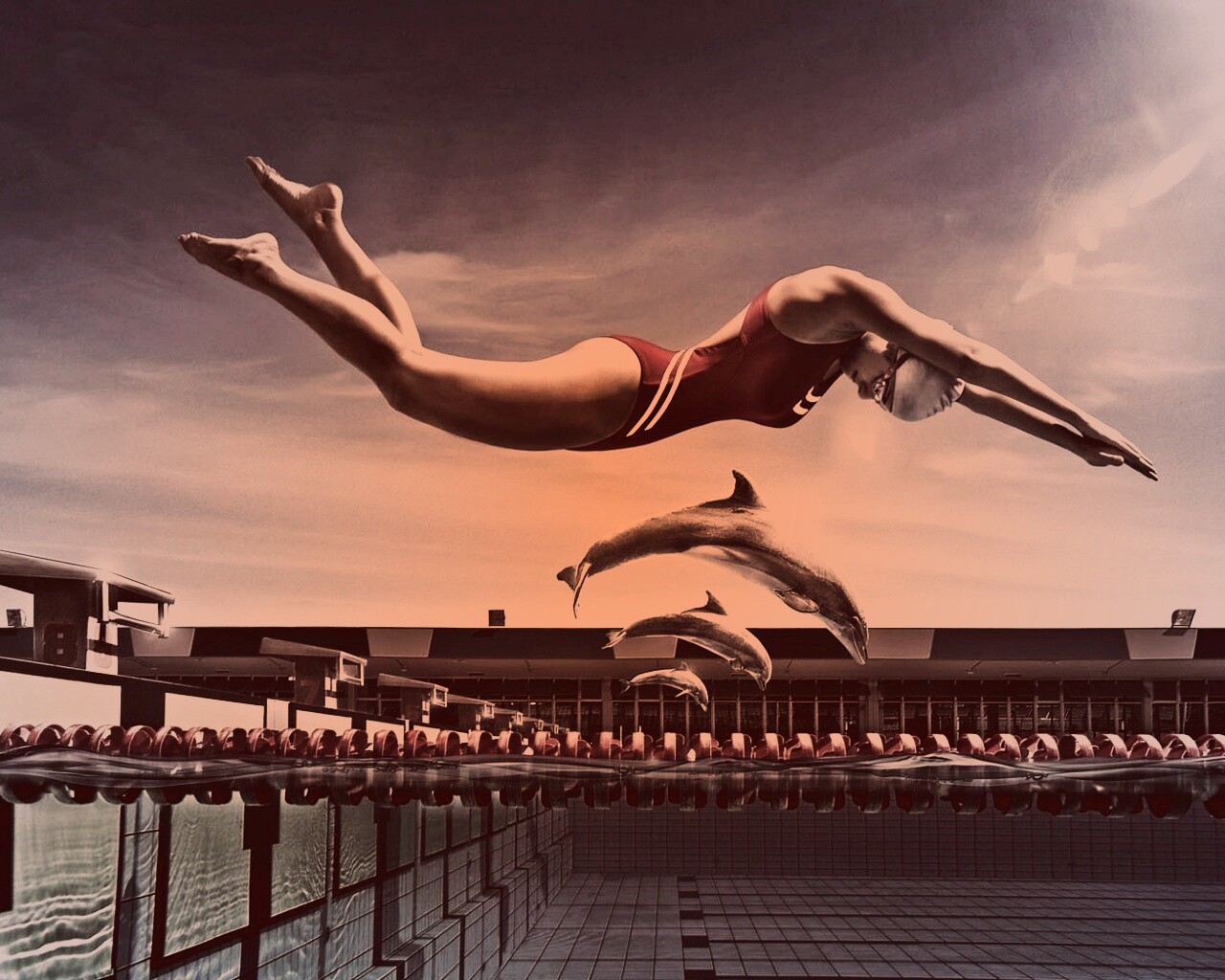 Соревнование обои