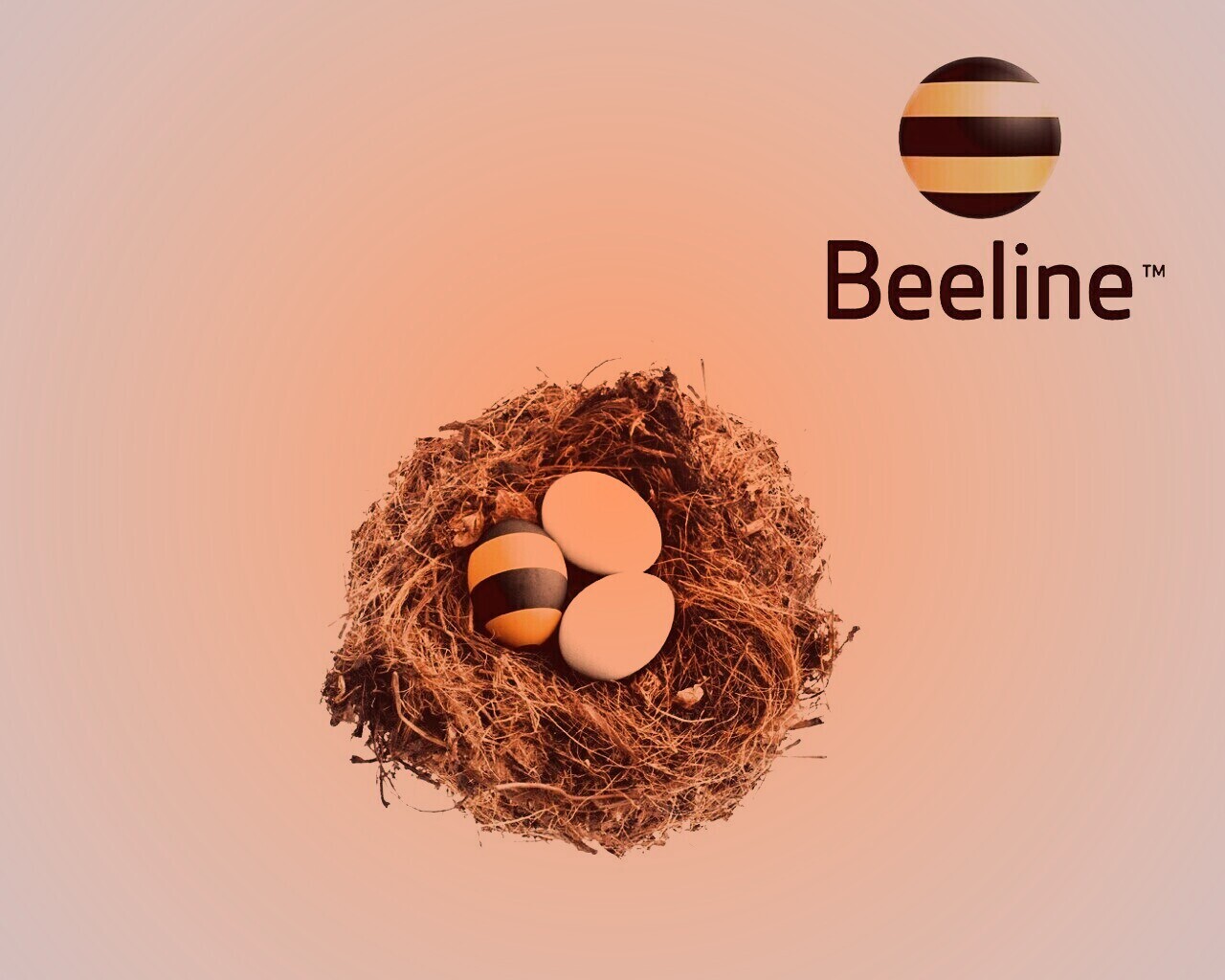 Гнездо beeline обои