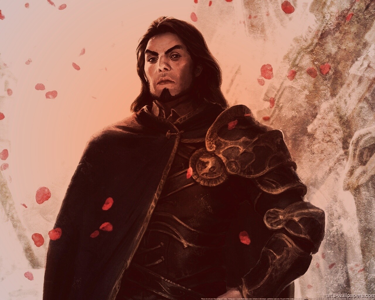 Рыцарь обои