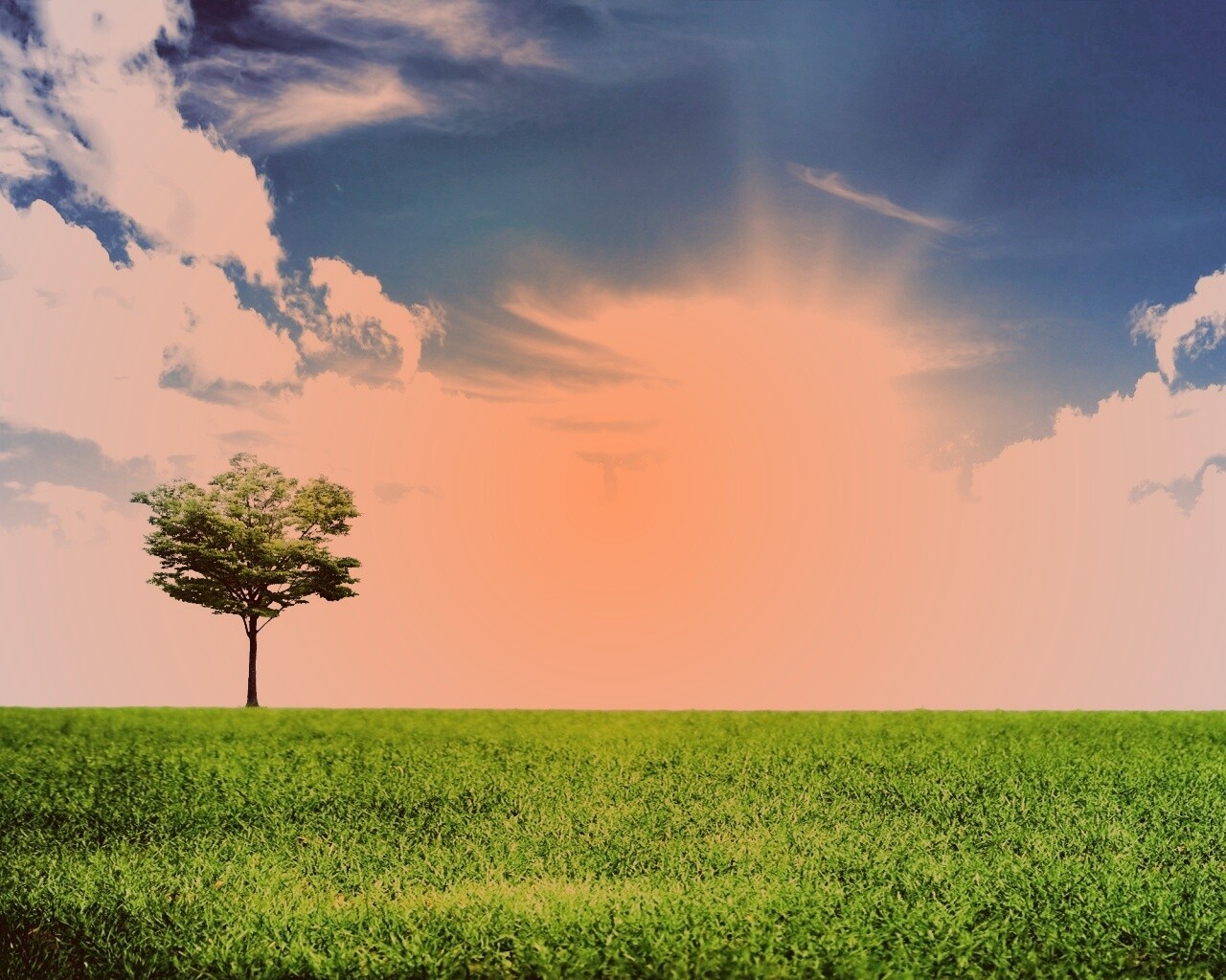 Один в целом мире обои