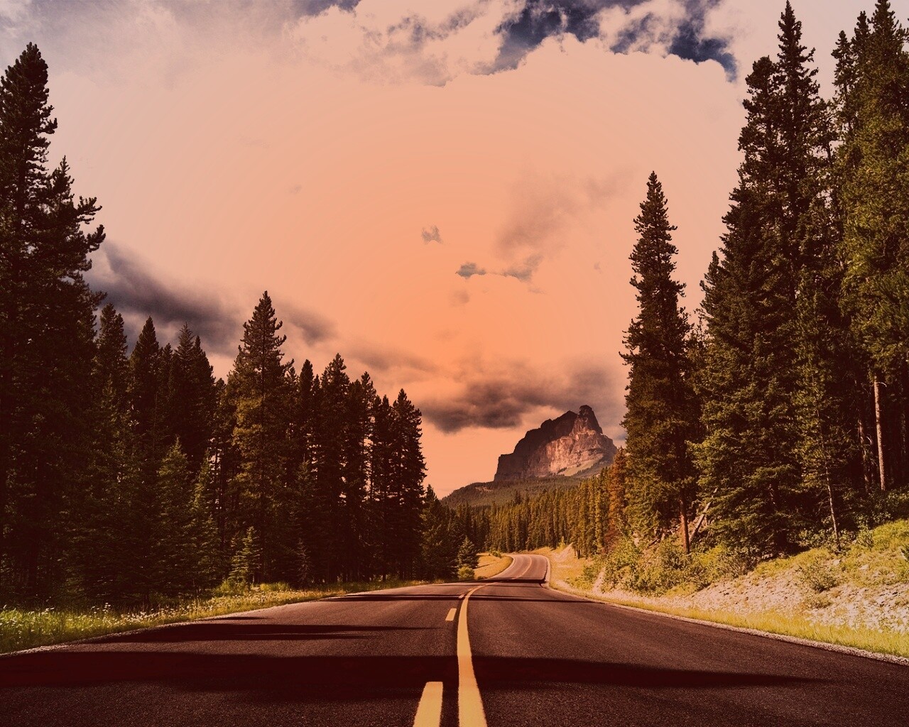 Красивая лесная дорога обои