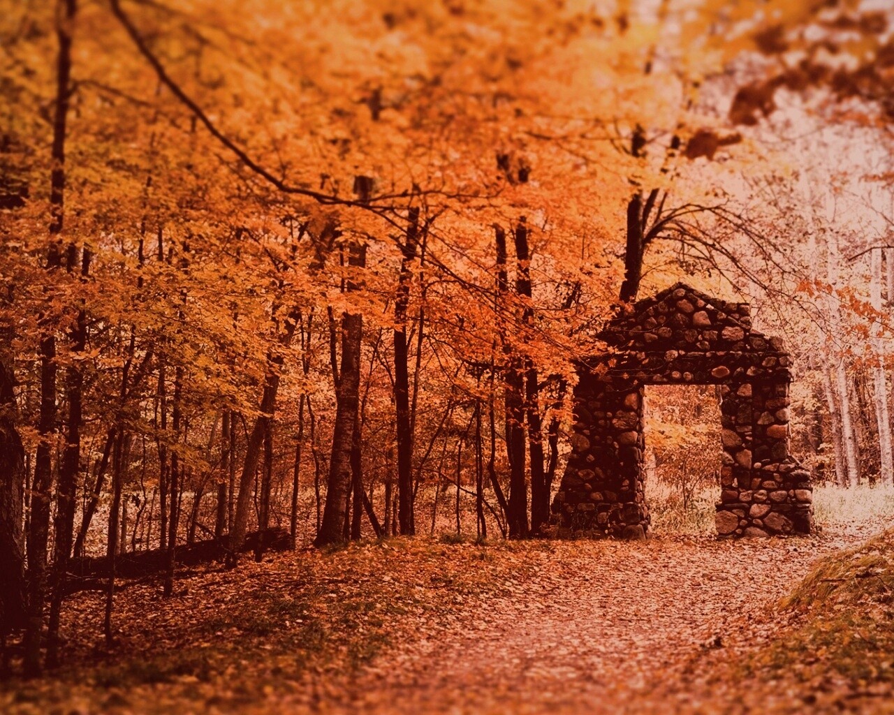 Каменная арка в осеннем лесу обои