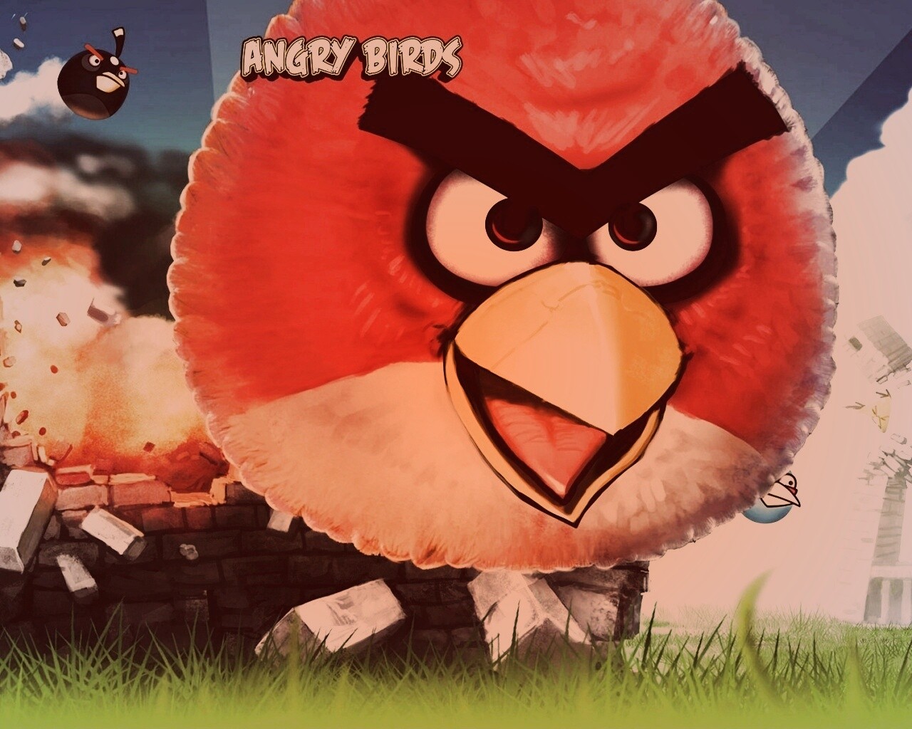 Angry Birds обои