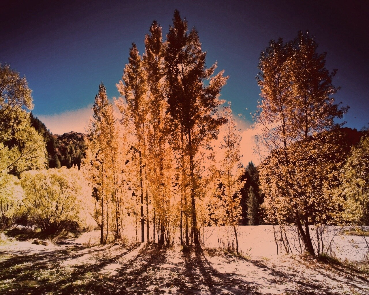 Осень в Новой Зеландии обои