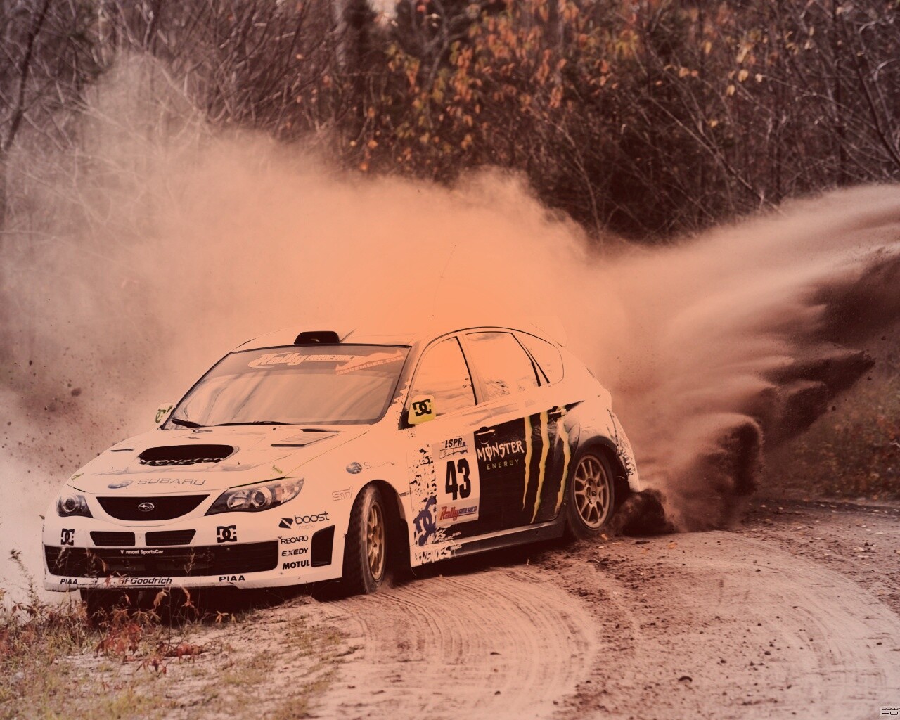 Раллийная гонка обои