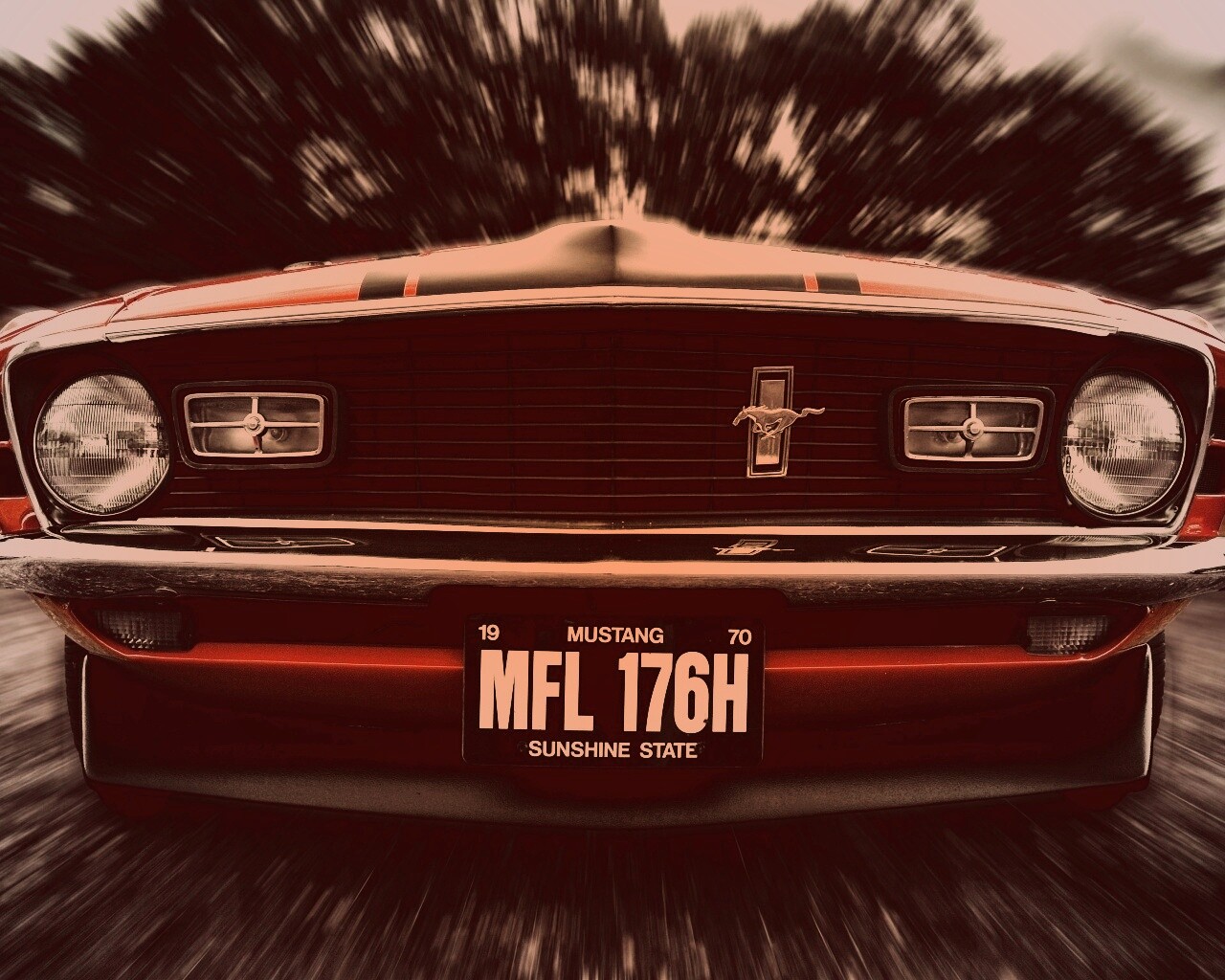 Мустанг обои