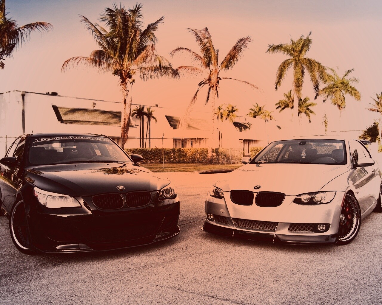 Две БМВ обои