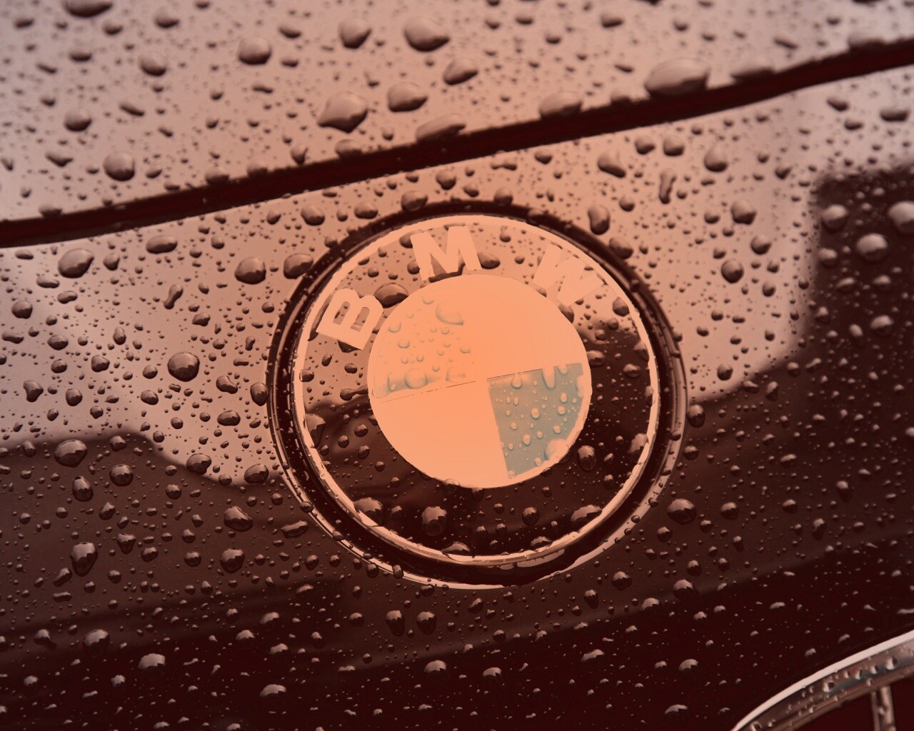 Эмблема БМВ обои