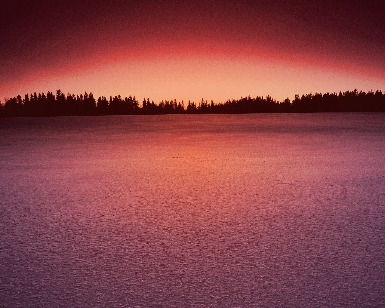 Восход над заснеженным лесом обои