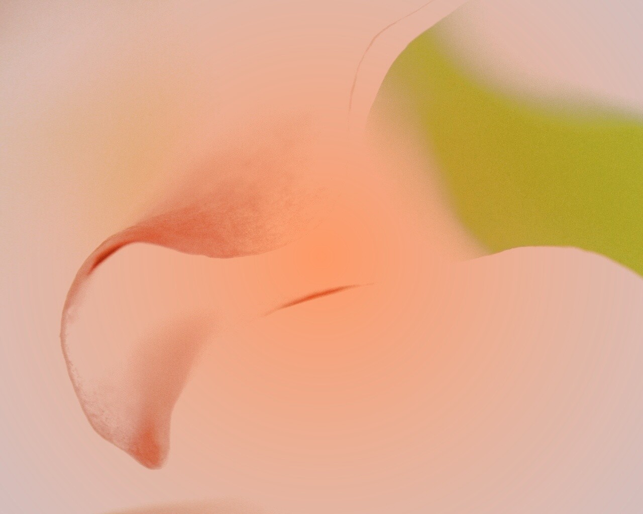 Оттенки природы обои