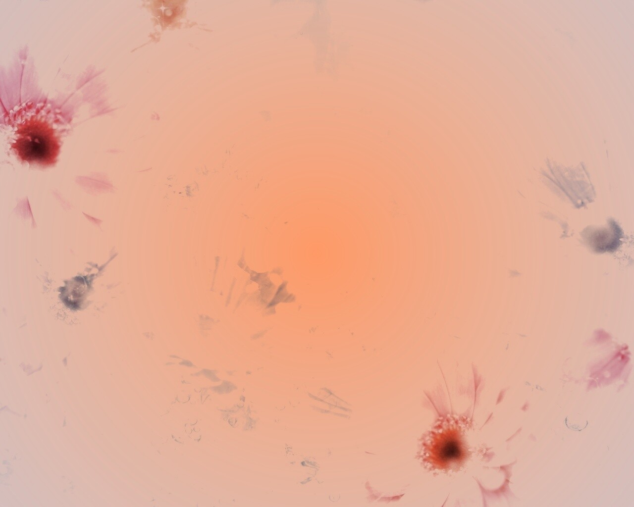 Цветочная эйфория обои