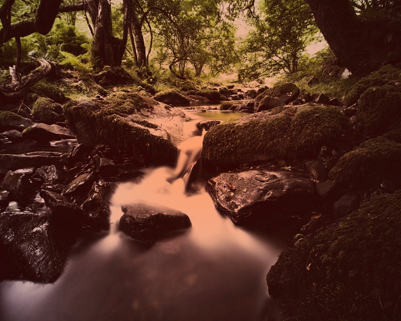 Речной поток в лесу обои