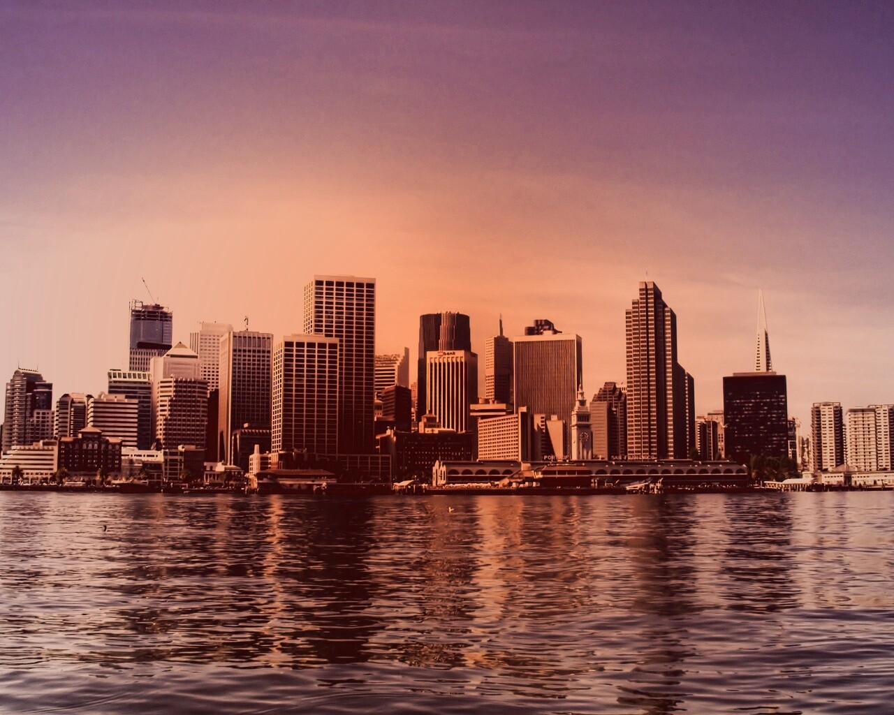 Небоскребы на береговой линии обои