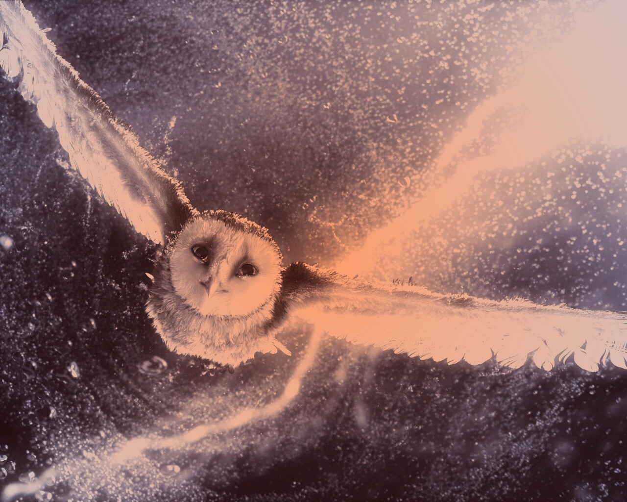 Ночные стражи обои