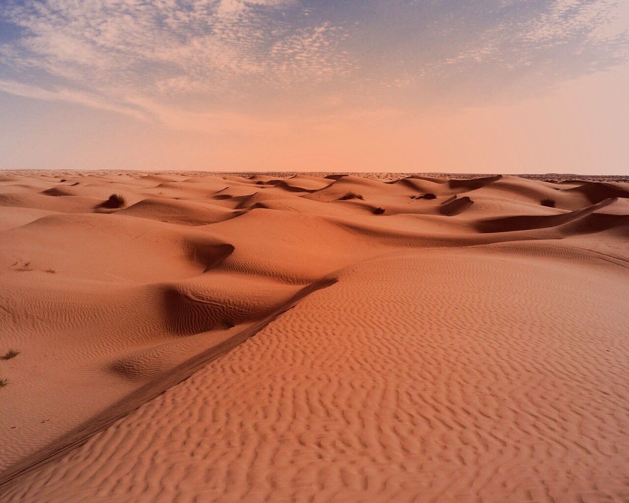 Пустыня до самого горизонта обои