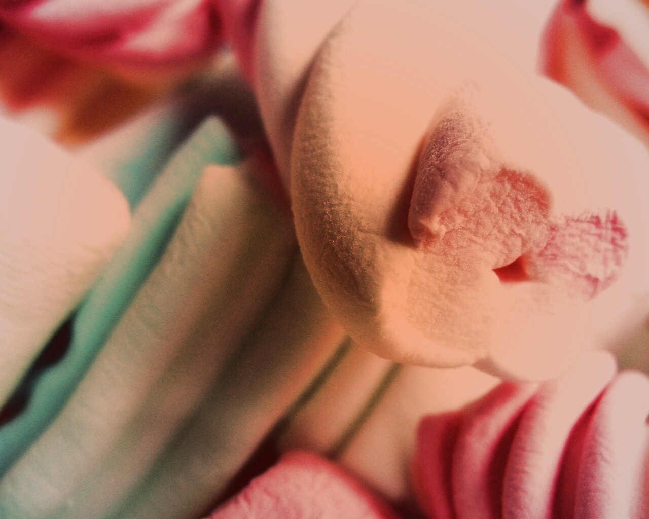 Кручёный зефир обои