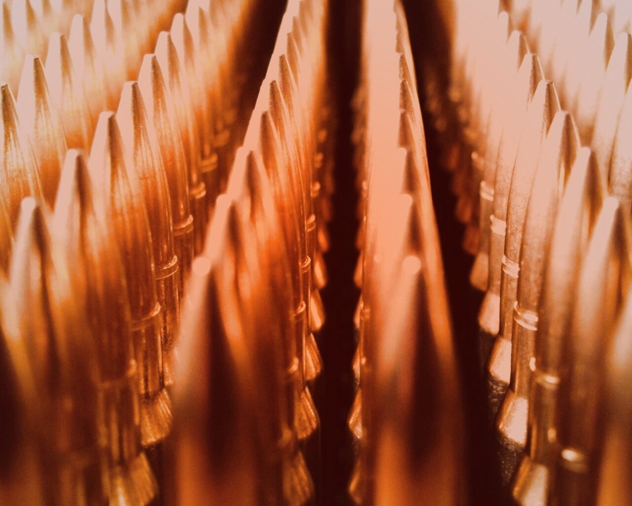 Стройные ряды патронов обои