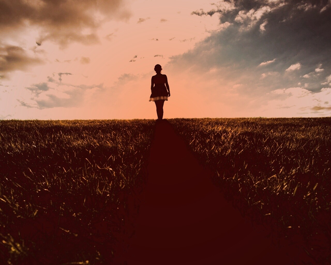 Силуэт девочки на поле обои