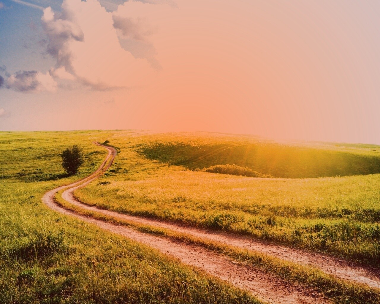 Дорога через луг обои