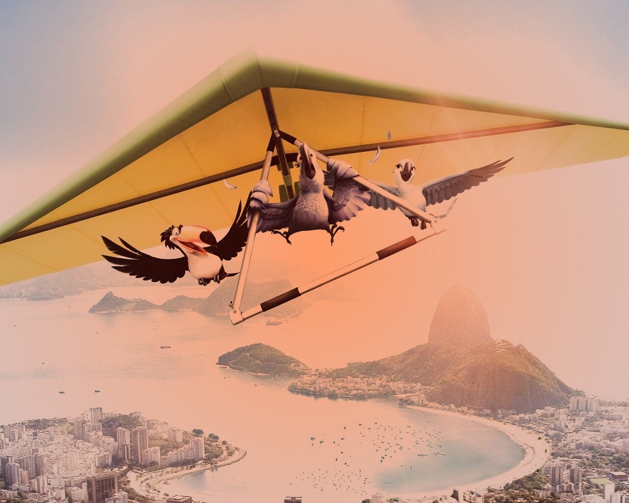 Герои мультфильма Рио обои