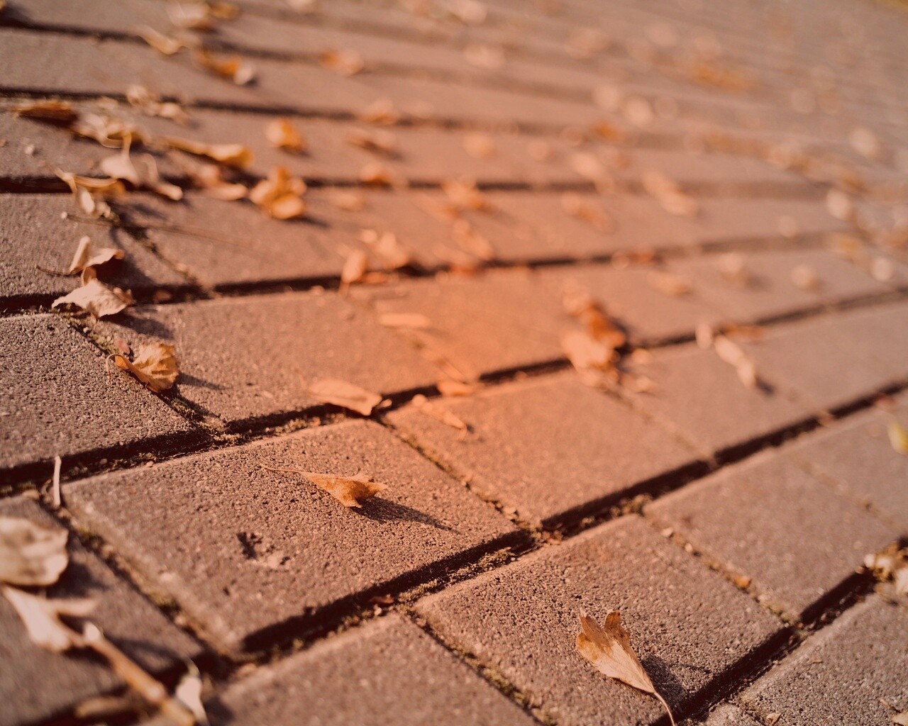 Тротуар обои