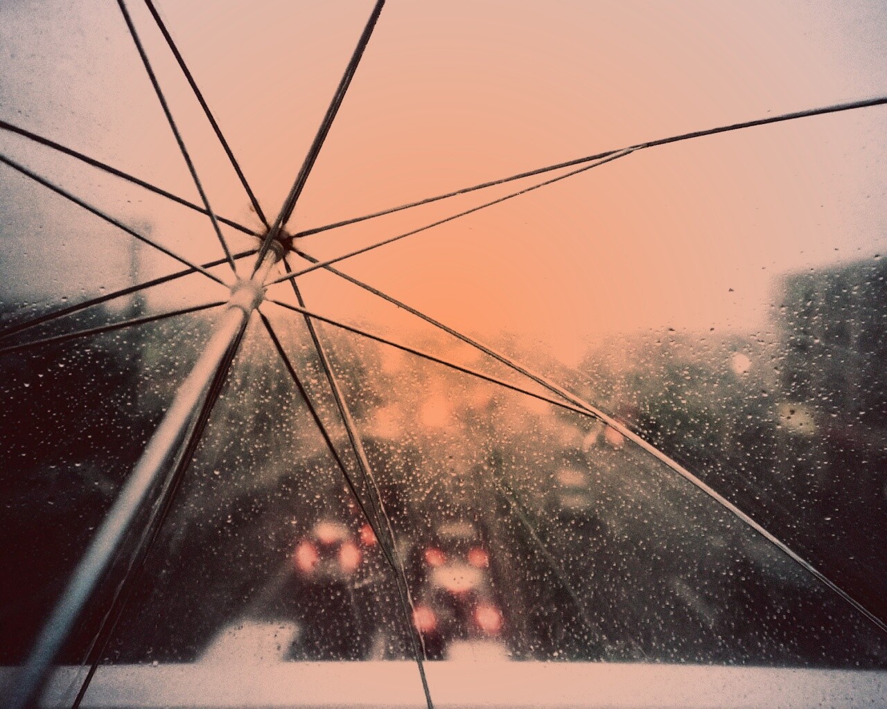 Вид сквозь прозрачный зонтик обои