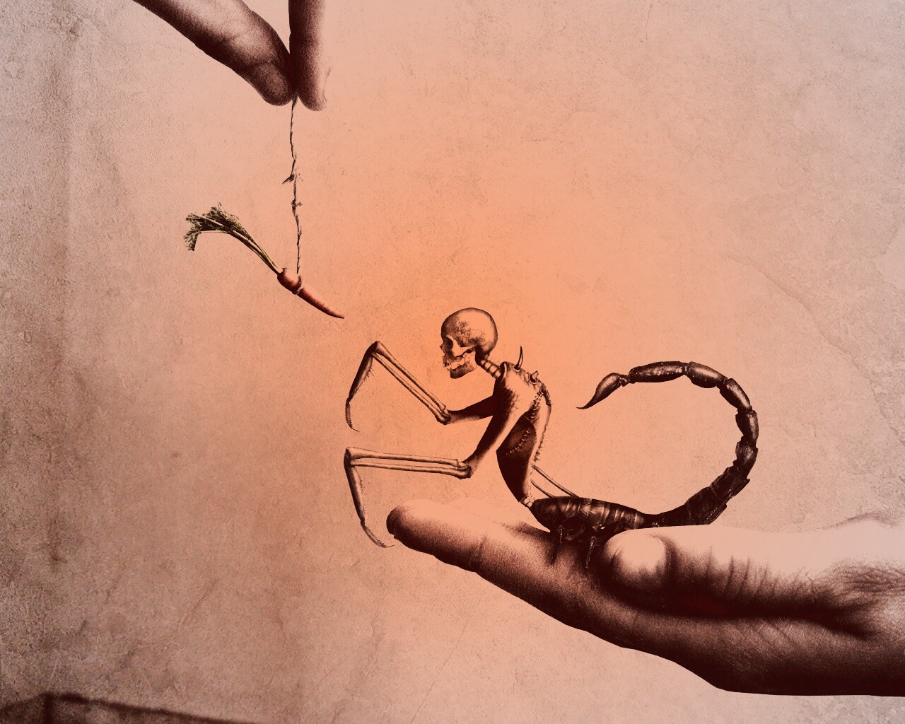 Кормёжка смерти обои