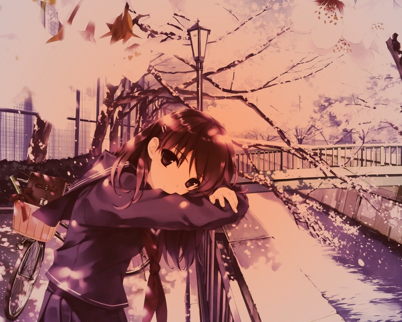 Девушка среди лепестков сакуры обои