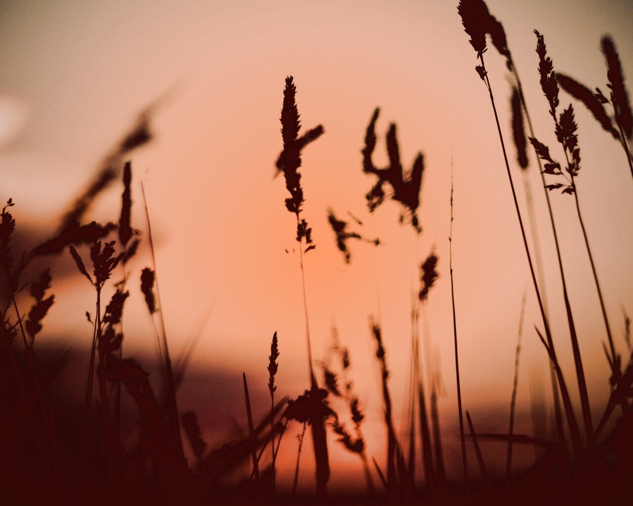 Дыхание природы обои