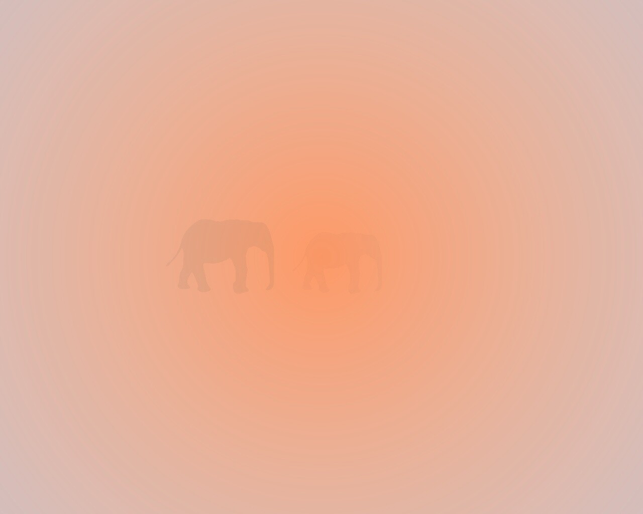 Вереница слонов обои