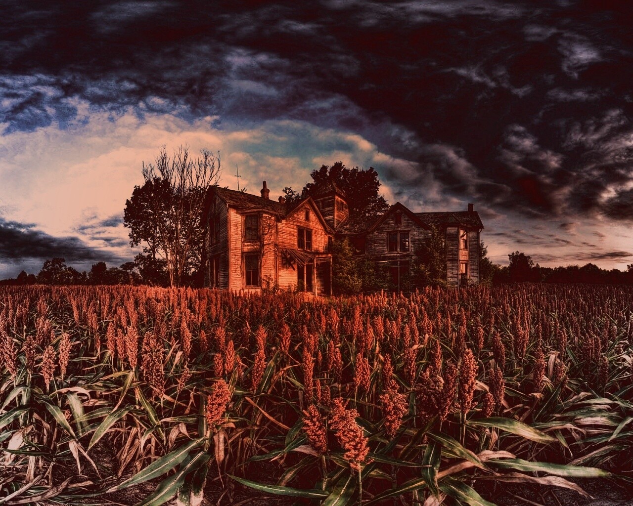 Заброшенный дом  обои
