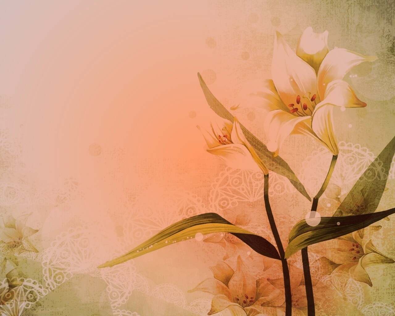 Красивое изображение лилии обои