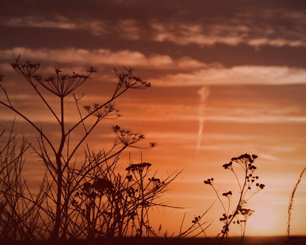 Степной закат обои