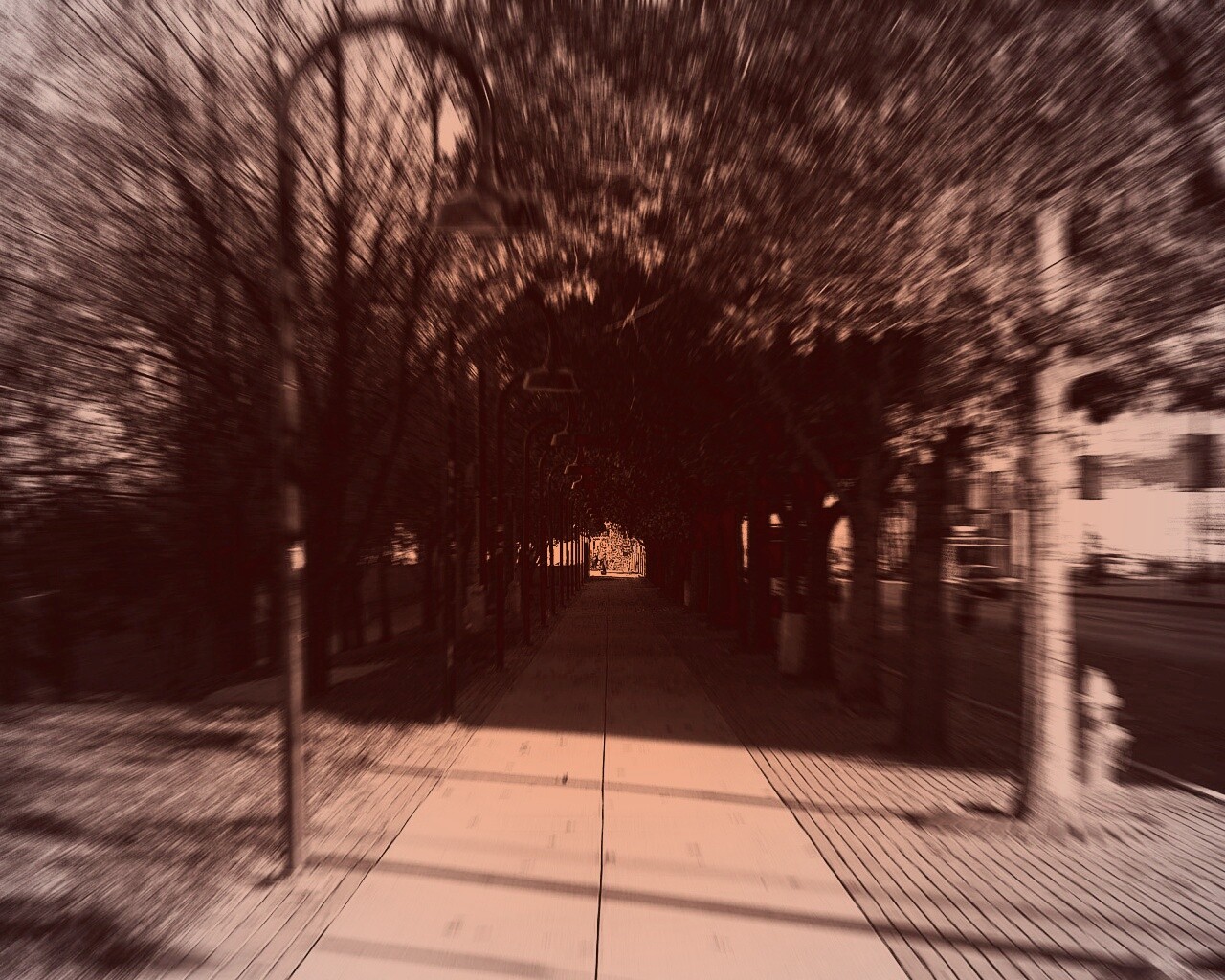 В парке обои