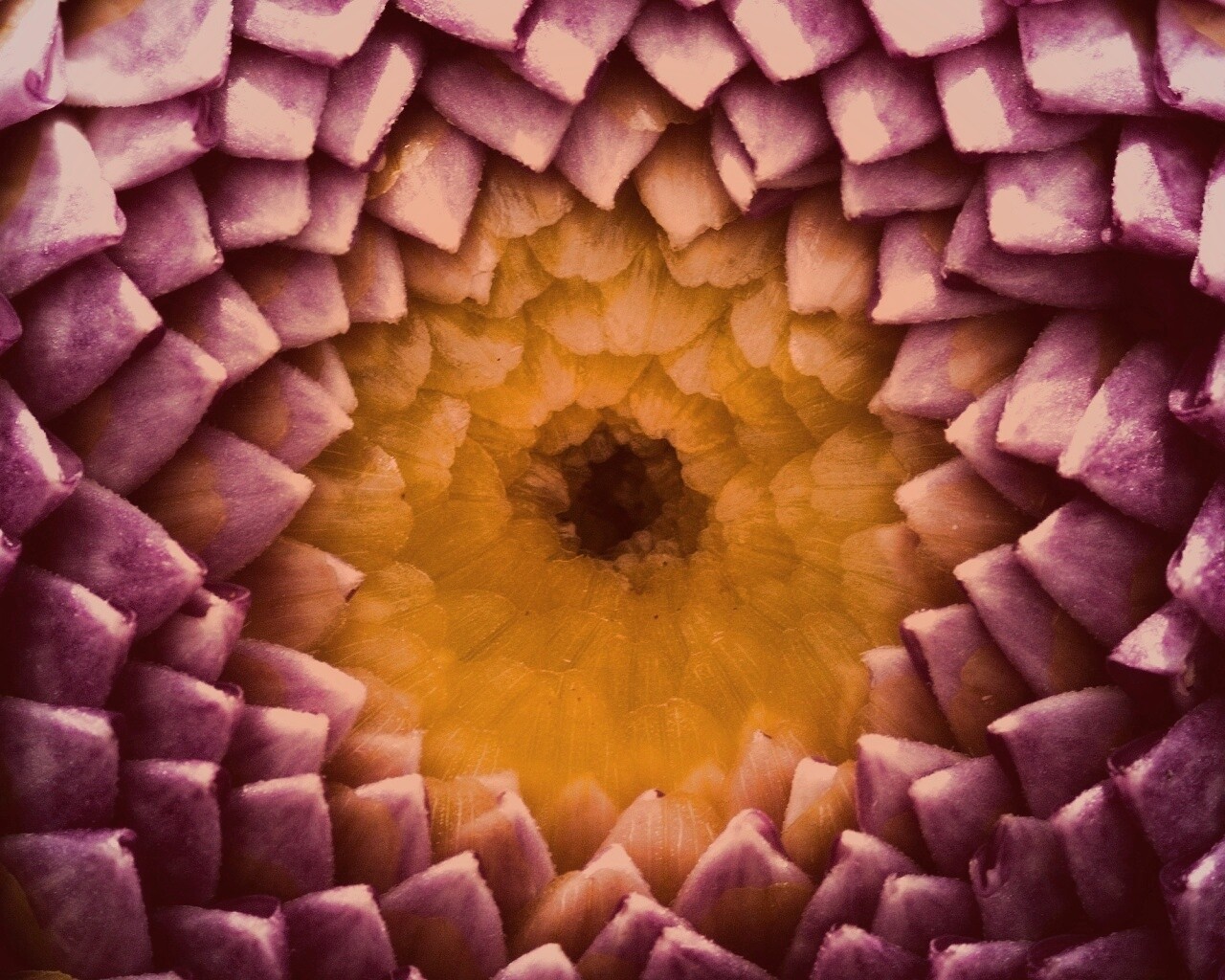 Сердцевина цветка обои