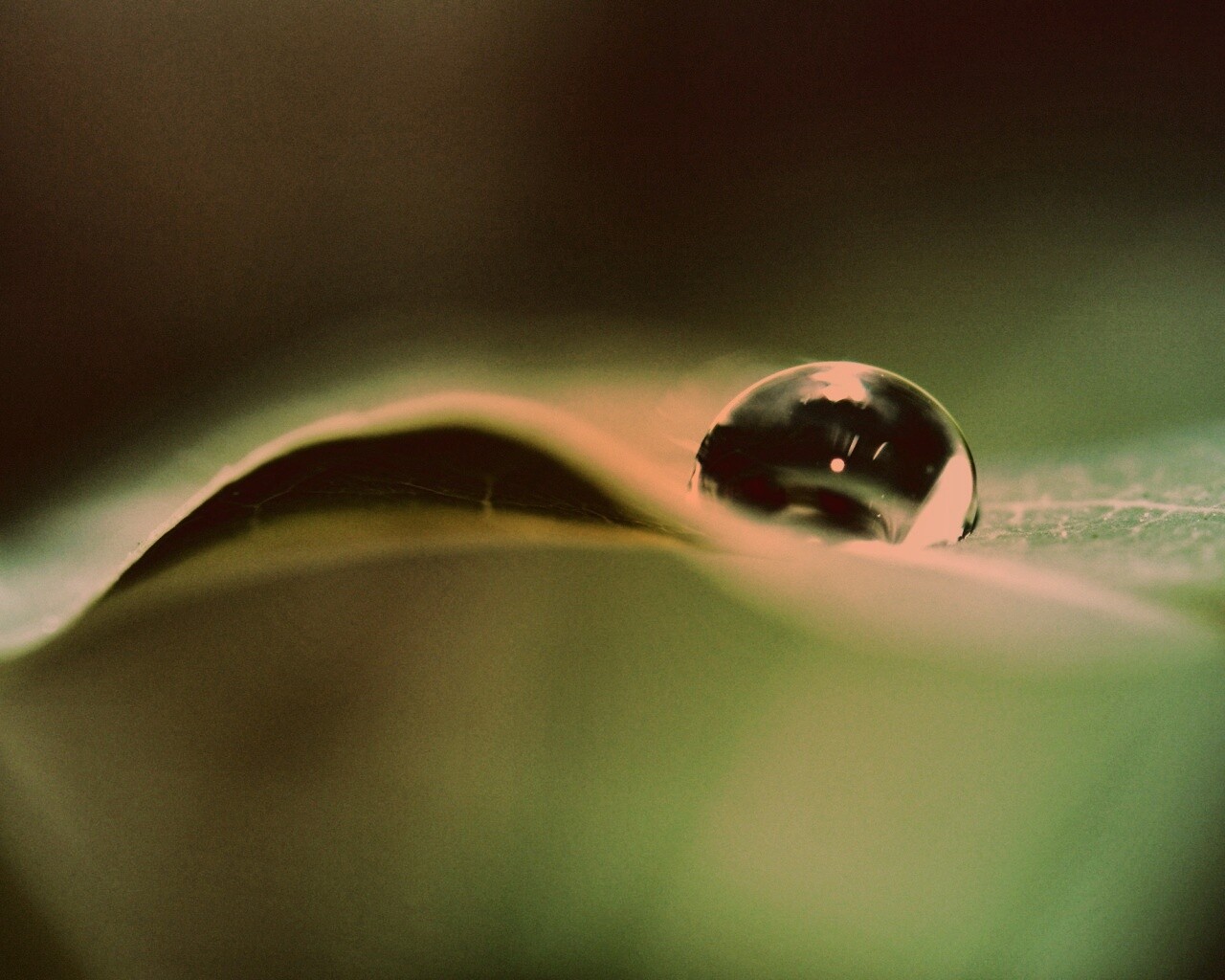 Фотография капли воды в макро обои