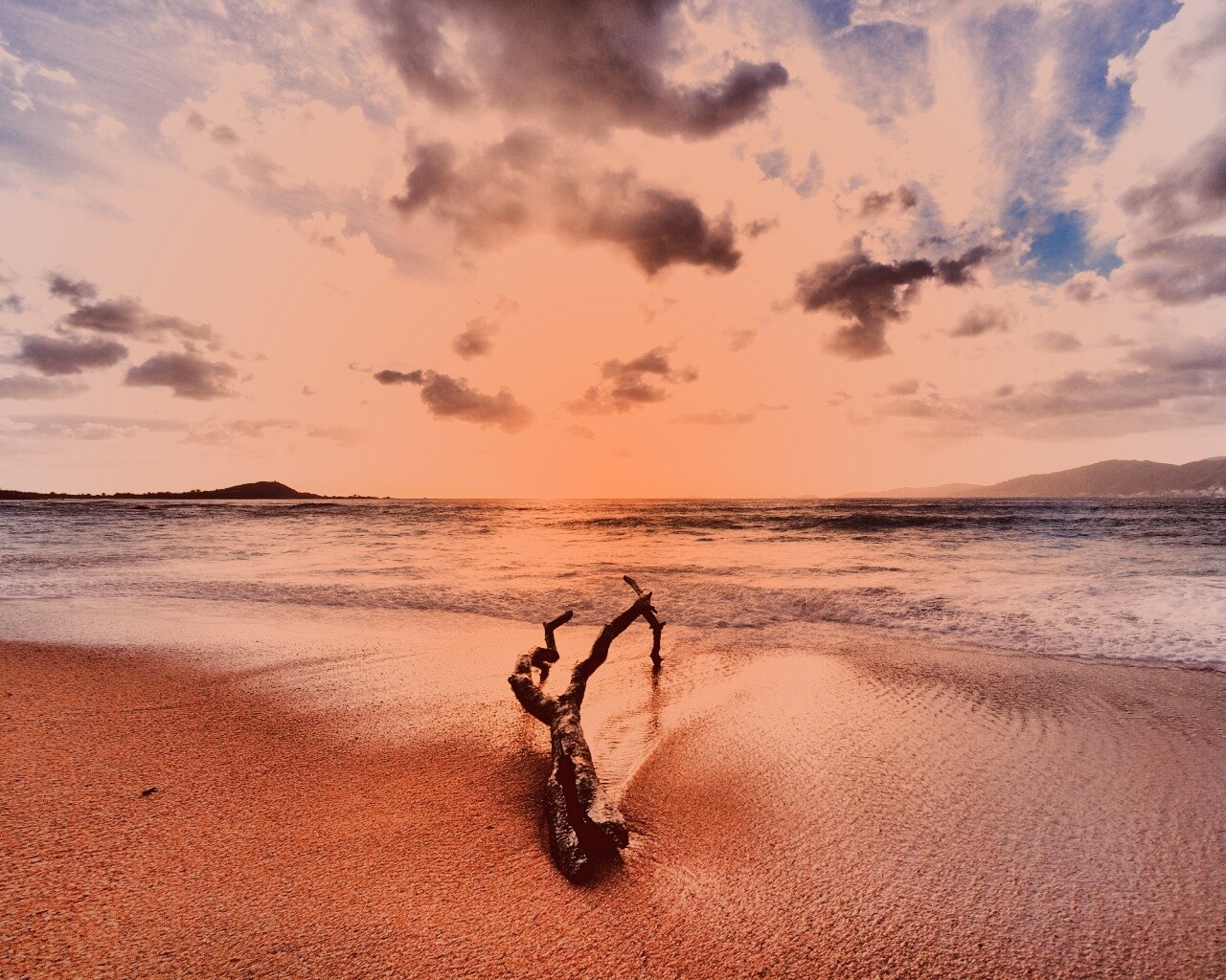 Коряга на пляже обои