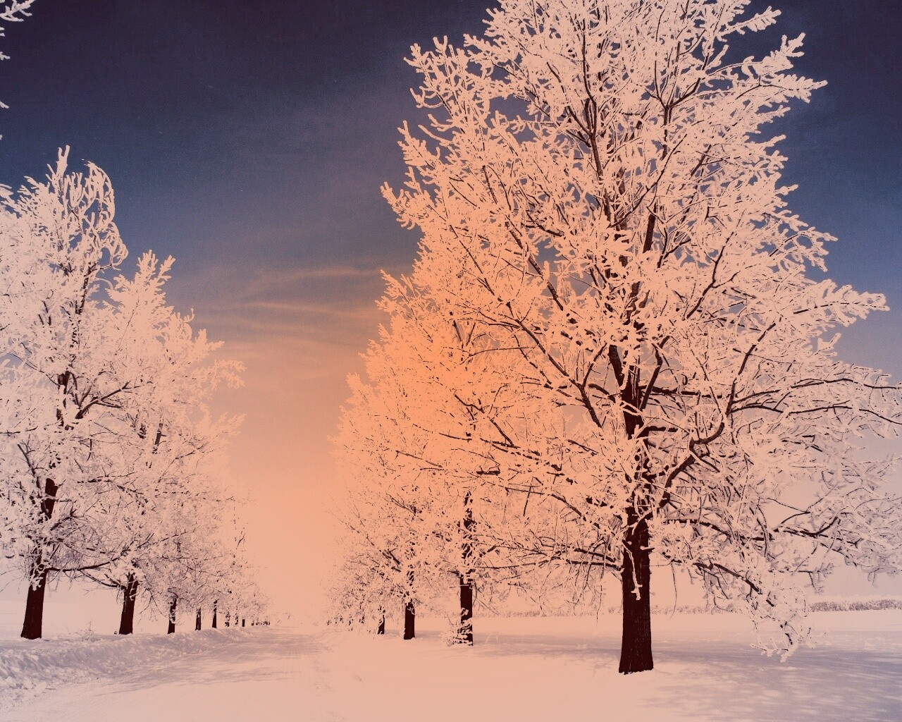 Снежная долина обои