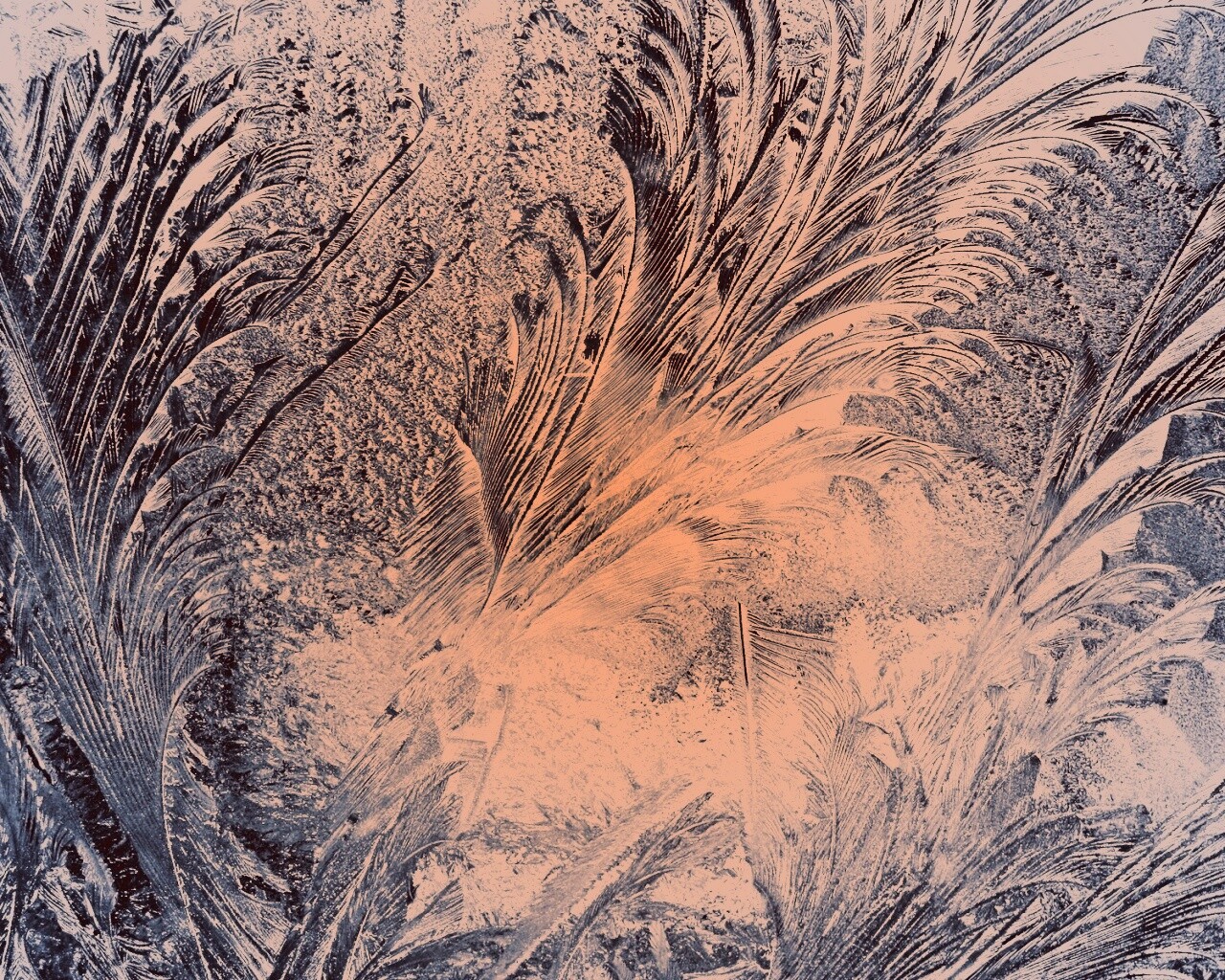 Зимние узоры обои