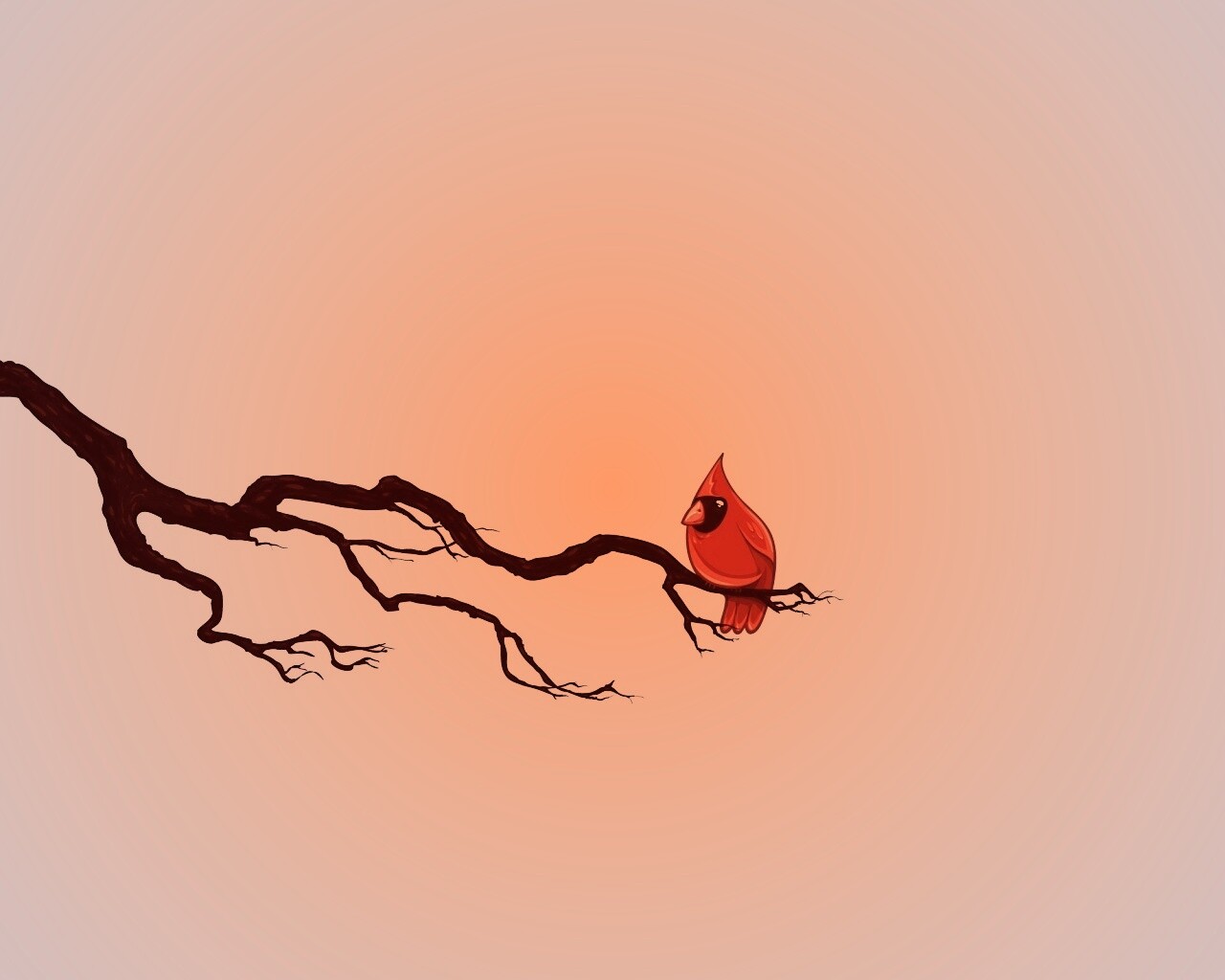 Красная птица на ветке обои