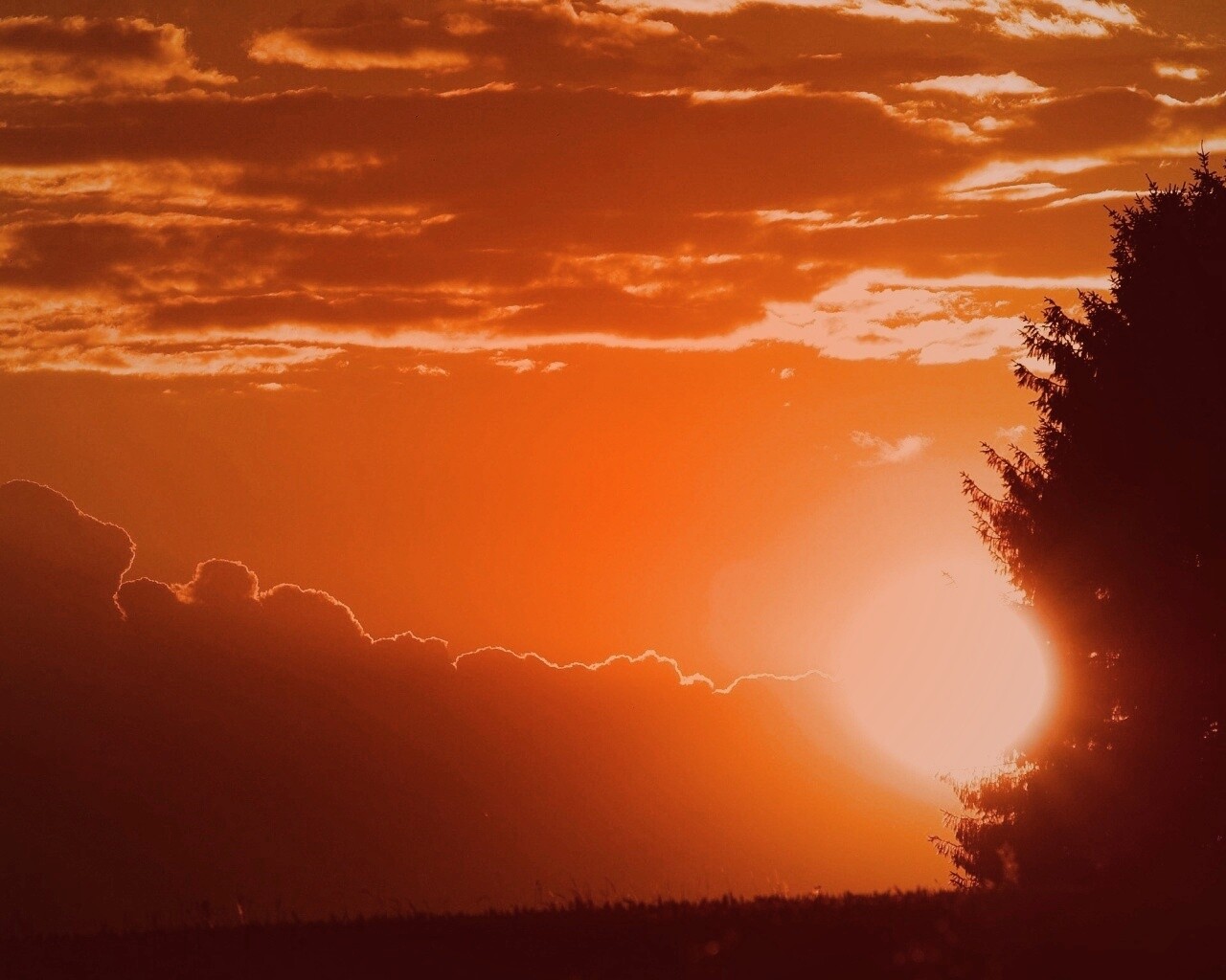 Теплый закат над полем обои