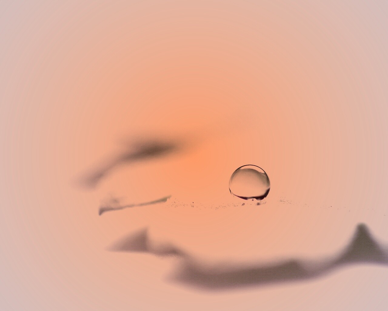 Капля на замёрзжем листе обои