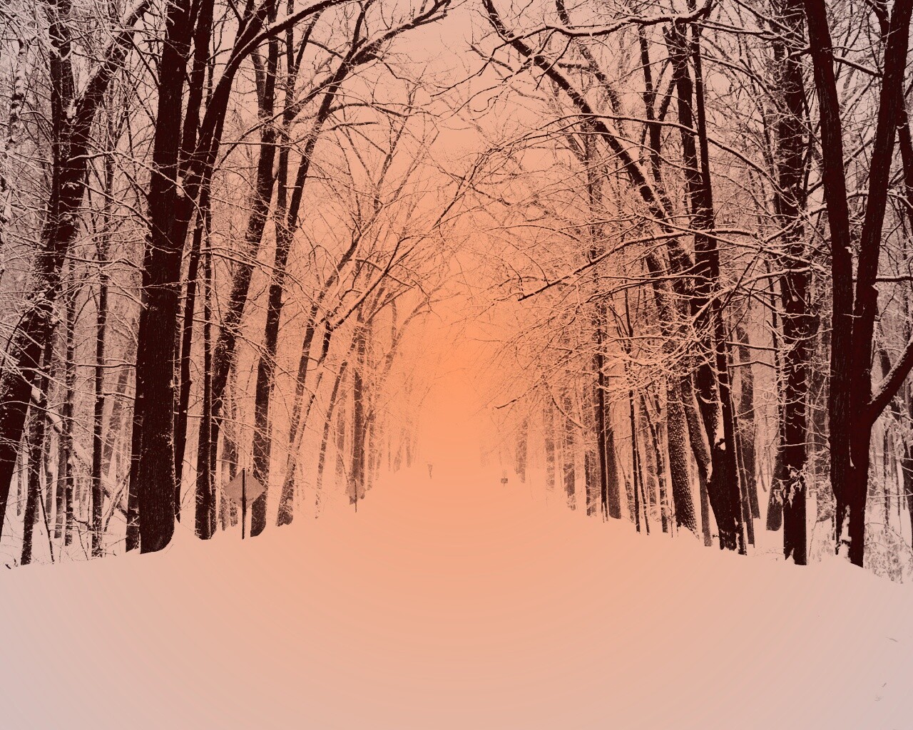 Дорога зимой в парке обои